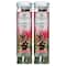 Scentsicles® 2 Pack Snowberry Pine 6 Piece Scented Ornament Sticks